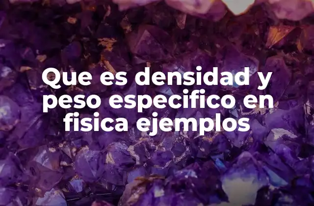 Que es Densidad y Peso Especifico en Fisica Ejemplos
