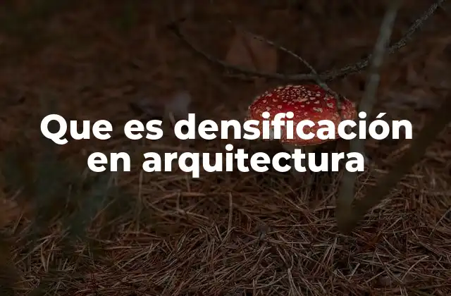 Que es Densificación en Arquitectura