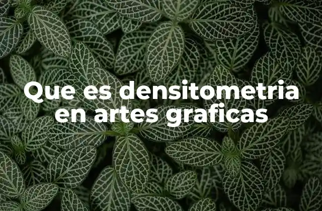 Que es Densitometria en Artes Graficas