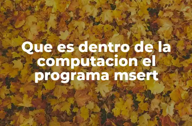 Que es Dentro de la Computacion el Programa Msert