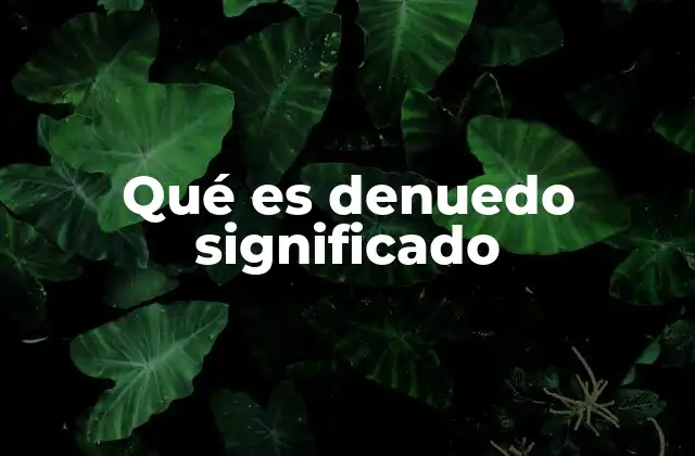 Qué es Denuedo Significado