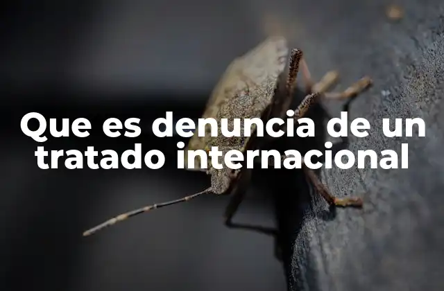 Que es Denuncia de un Tratado Internacional