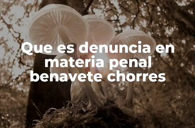 Que es Denuncia en Materia Penal Benavete Chorres 2 El rol de la denuncia en el proceso penal contemporáneo