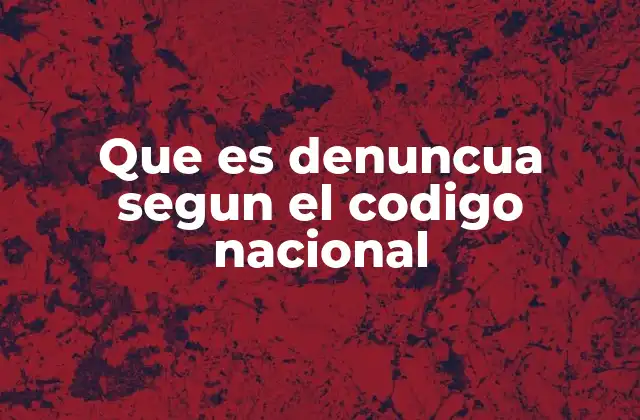 Que es Denuncua Segun el Codigo Nacional