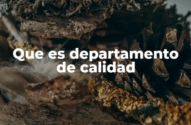 Que es Departamento de Calidad