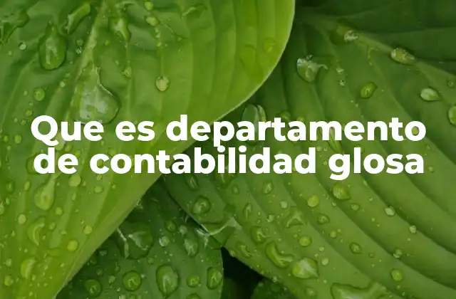 Que es Departamento de Contabilidad Glosa 2 La importancia del departamento de contabilidad en las organizaciones