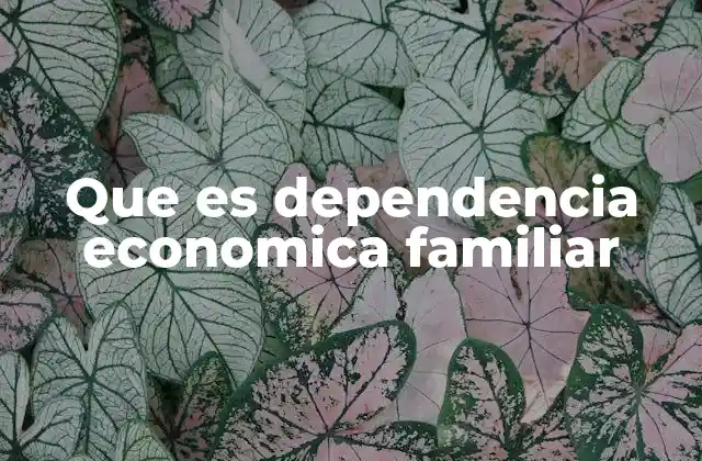 Que es Dependencia Economica Familiar