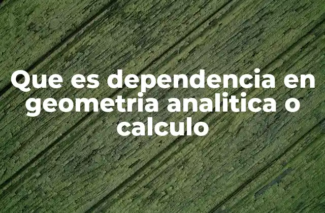 Que es Dependencia en Geometria Analitica o Calculo