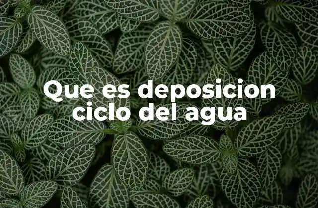 El papel de la deposición en el paisaje terrestre