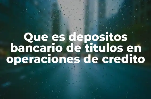 Que es Depositos Bancario de Titulos en Operaciones de Credito