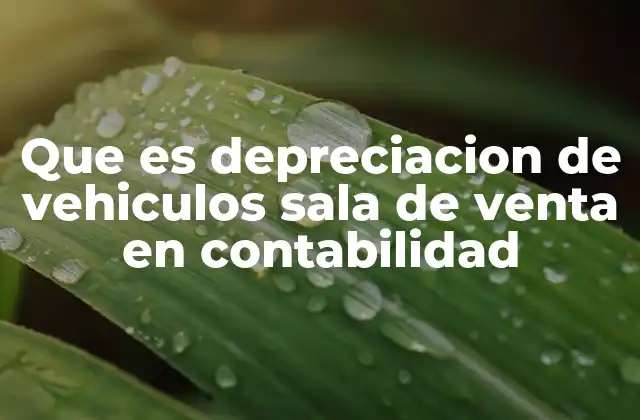 Que es Depreciacion de Vehiculos Sala de Venta en Contabilidad