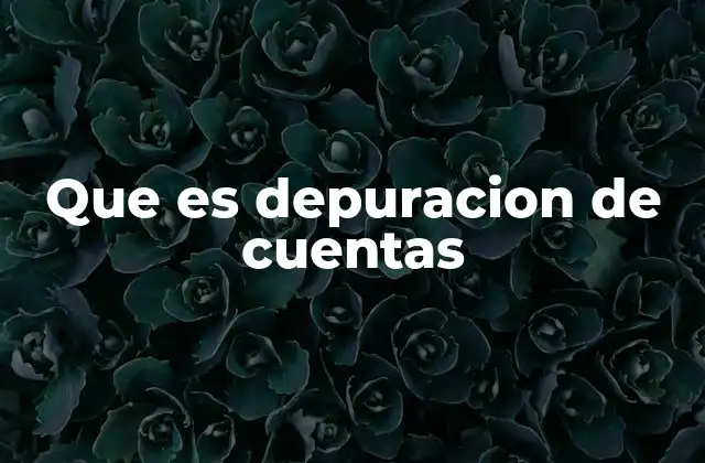 Que es Depuracion de Cuentas