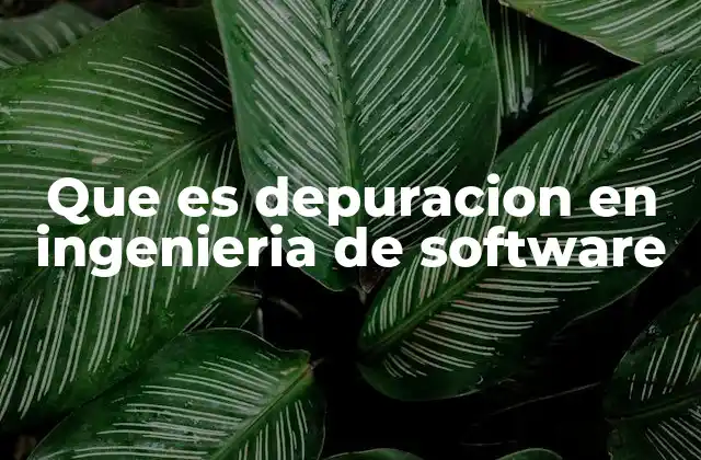 Que es Depuracion en Ingenieria de Software