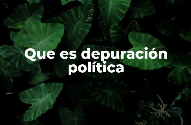 Que es Depuración Política