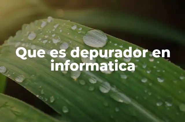 Que es Depurador en Informatica