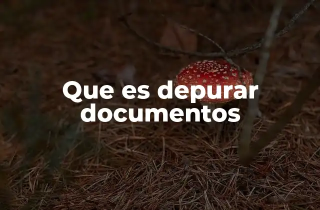 Que es Depurar Documentos
