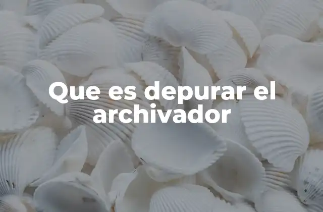Que es Depurar el Archivador