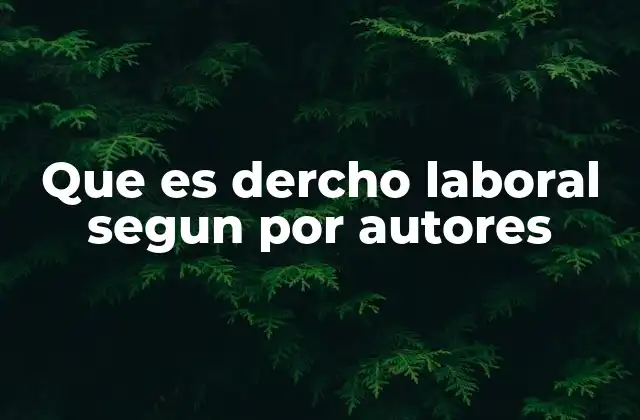 Que es Dercho Laboral Segun por Autores