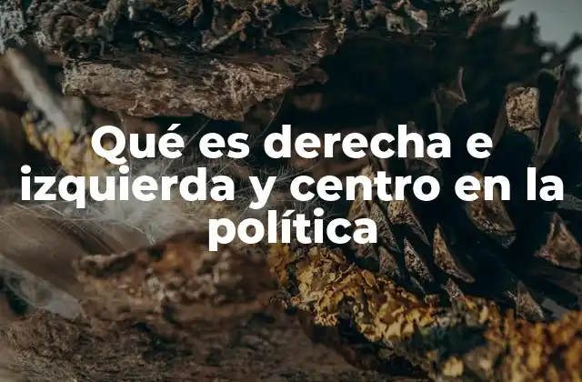 Qué es Derecha e Izquierda y Centro en la Política
