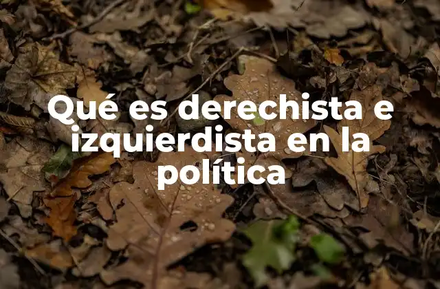 Qué es Derechista e Izquierdista en la Política
