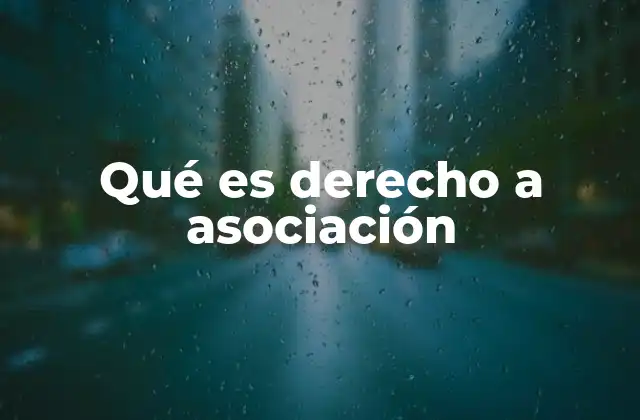 Qué es Derecho a Asociación