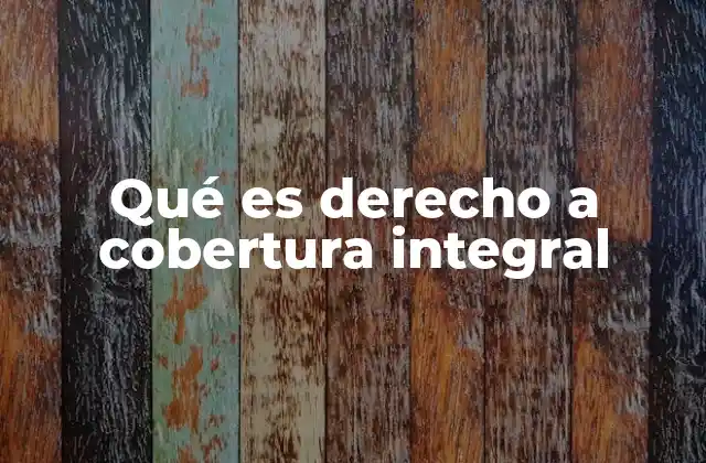 Qué es Derecho a Cobertura Integral 2 El rol de los gobiernos en la protección de este derecho
