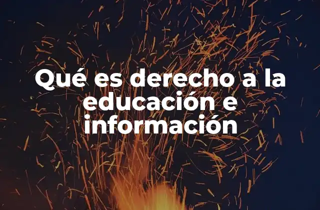 Qué es Derecho a la Educación e Información 2 La educación e información como herramientas para el desarrollo humano