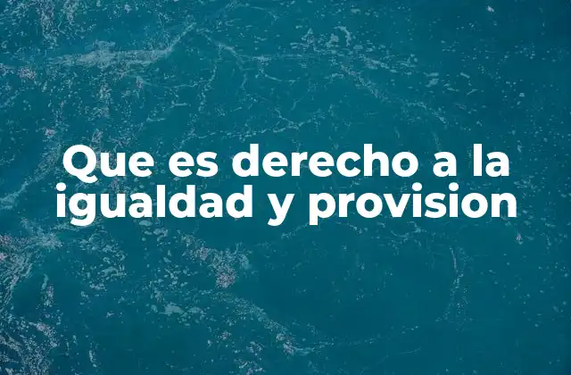 Que es Derecho a la Igualdad y Provision