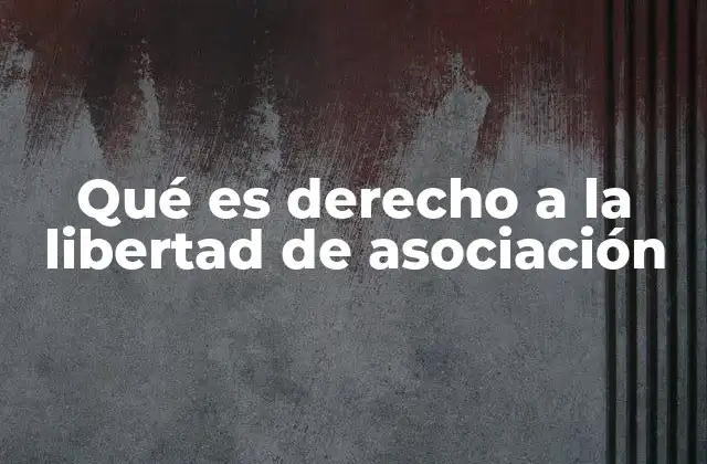 Qué es Derecho a la Libertad de Asociación 2 La importancia de la organización colectiva en la sociedad moderna