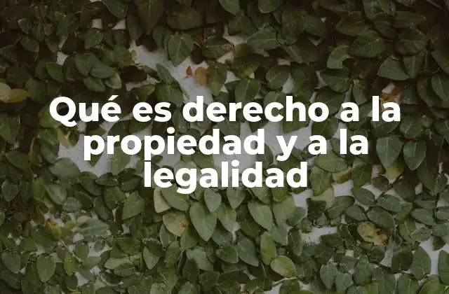 Fundamentos del derecho a la propiedad y la legalidad