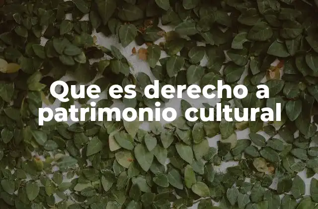 Que es Derecho a Patrimonio Cultural