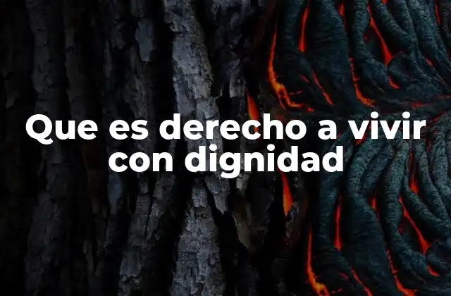 Que es Derecho a Vivir con Dignidad