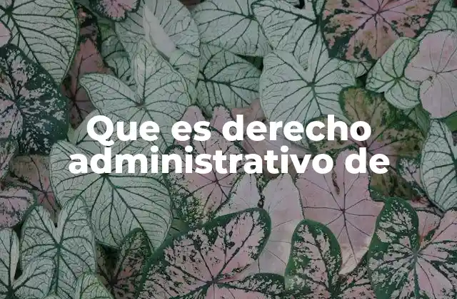 Que es Derecho Administrativo de