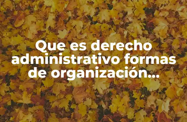 Que es Derecho Administrativo Formas de Organización Administrativa