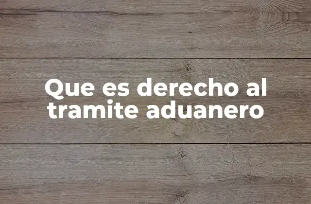 Que es Derecho Al Tramite Aduanero