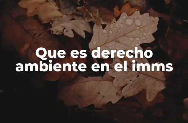 Que es Derecho Ambiente en el Imms