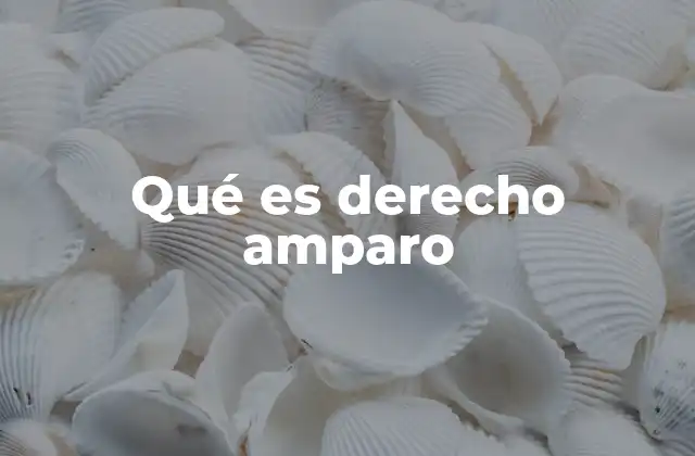 Qué es Derecho Amparo