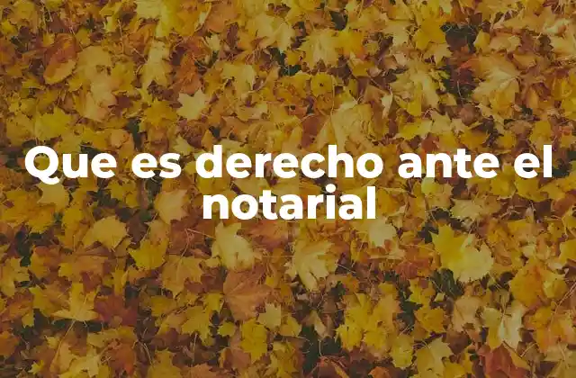 Que es Derecho ante el Notarial