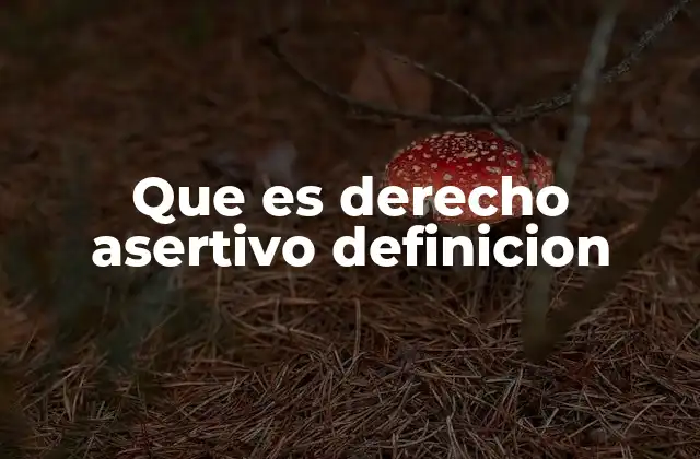 Que es Derecho Asertivo Definicion