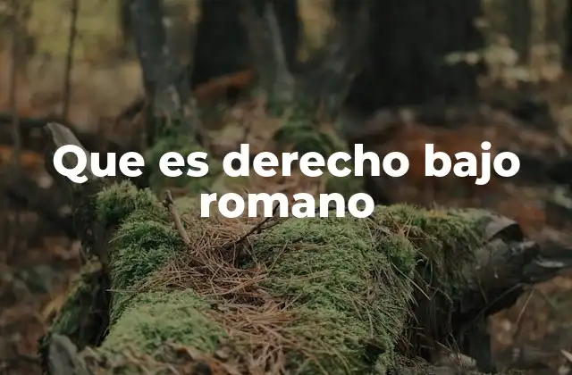 Que es Derecho bajo Romano
