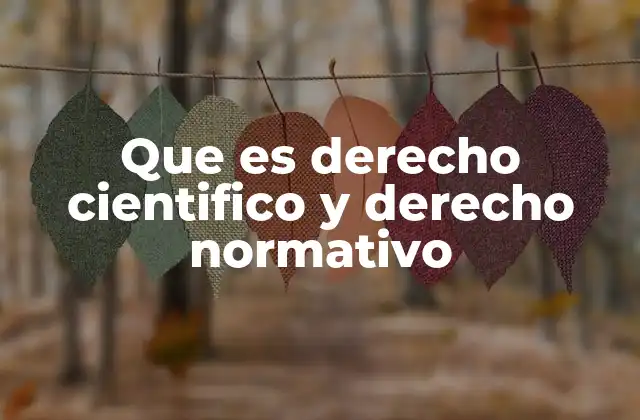 Que es Derecho Cientifico y Derecho Normativo