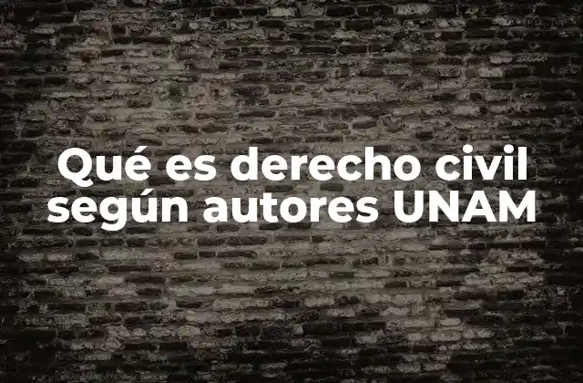 Qué es Derecho Civil según Autores Unam