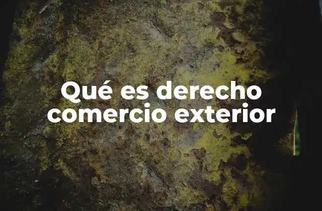 Qué es Derecho Comercio Exterior
