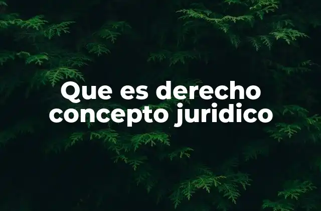 Que es Derecho Concepto Juridico