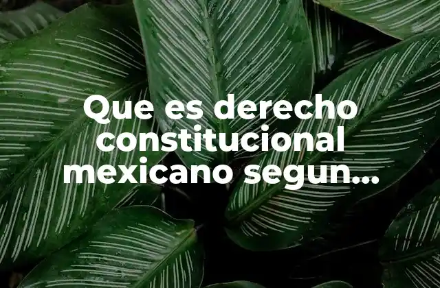 Que es Derecho Constitucional Mexicano Segun Autores