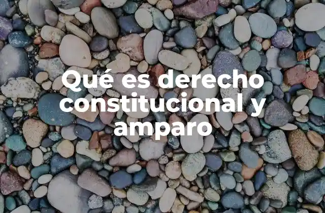 Qué es Derecho Constitucional y Amparo