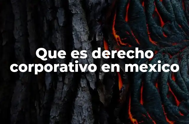 Que es Derecho Corporativo en Mexico