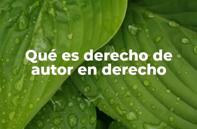 Qué es Derecho de Autor en Derecho