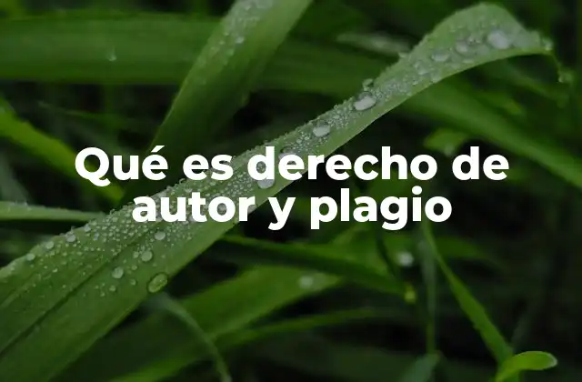 Qué es Derecho de Autor y Plagio
