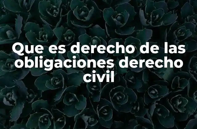 Que es Derecho de las Obligaciones Derecho Civil